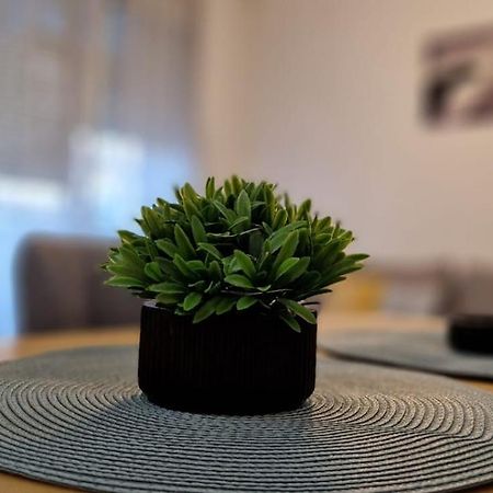 Apartment Luki ノヴィ・サド エクステリア 写真