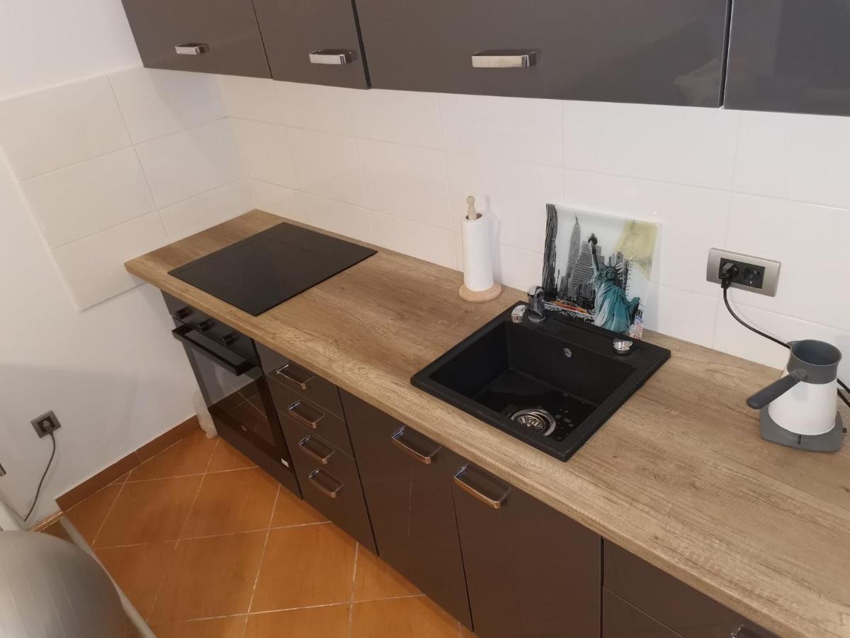 Apartment Luki ノヴィ・サド エクステリア 写真
