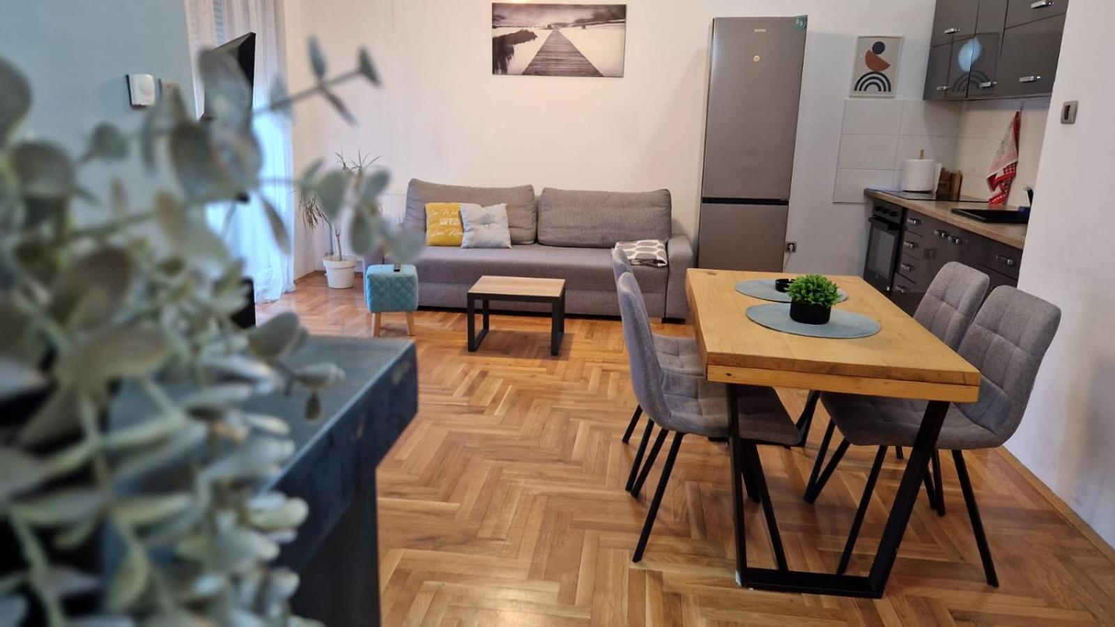 Apartment Luki ノヴィ・サド エクステリア 写真